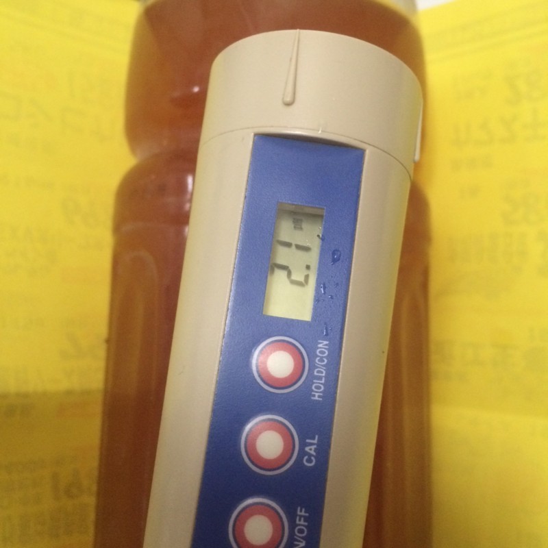 f:id:tujibee:20170702140607j:image:w200:left