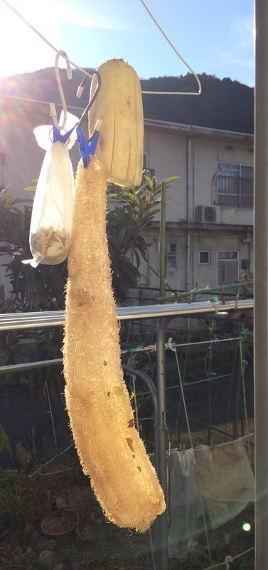 f:id:tujibee:20171223134656j:plain:w180 f:id:tujibee:20171223134656j:plain:w180