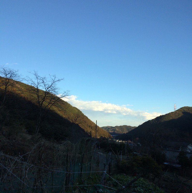 f:id:tujibee:20180212163454j:image:w250:right