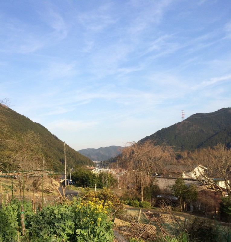 f:id:tujibee:20180326163135j:image:w300:left