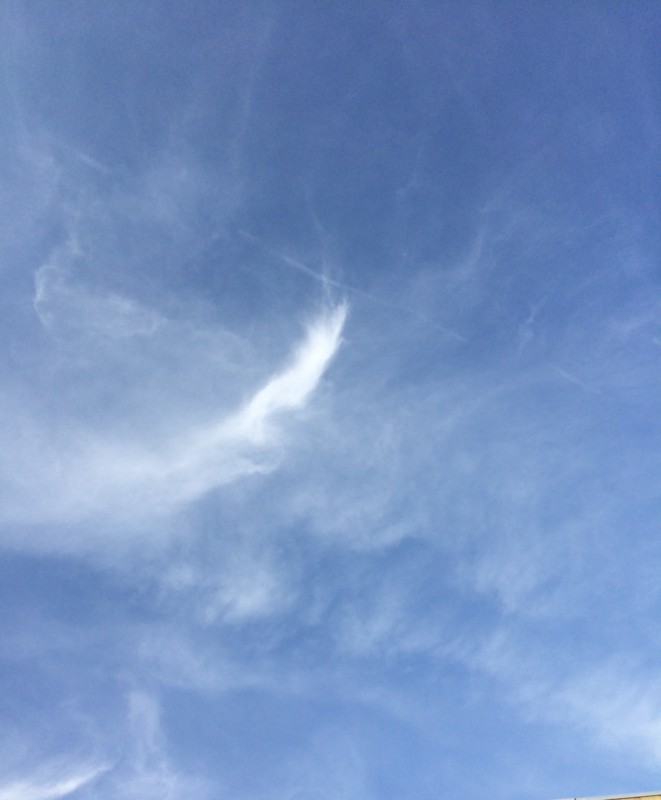 f:id:tujibee:20180326164509j:image:w300:left