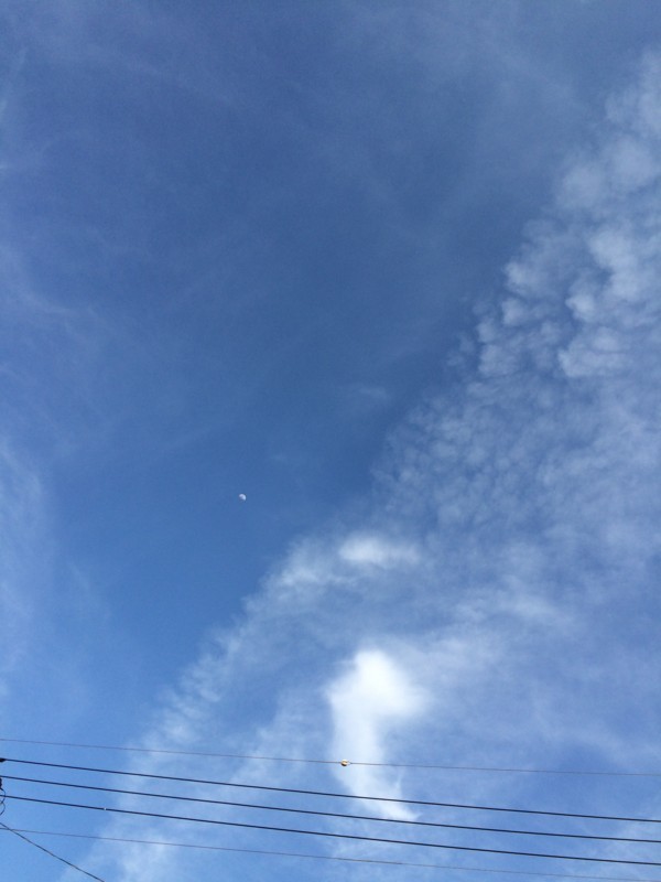 f:id:tujibee:20180326164600j:image:w300:left