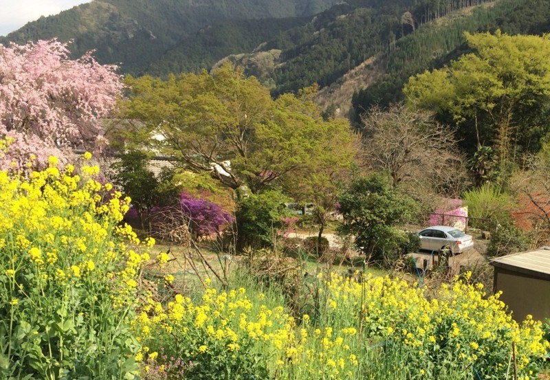 f:id:tujibee:20180405153607j:image