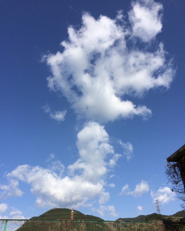 f:id:tujibee:20180408082435j:image:w300:left