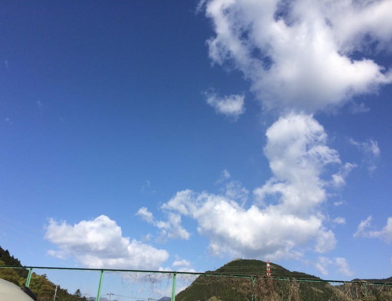 f:id:tujibee:20180408082451j:image:w300:left