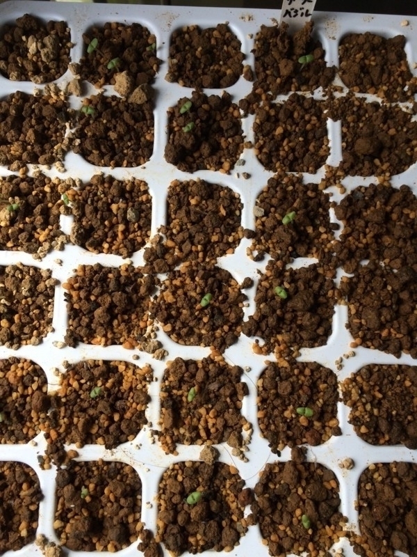 f:id:tujibee:20180409182951j:image:w300:left