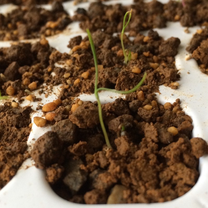 f:id:tujibee:20180411173621j:image:w300