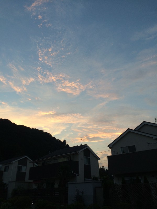 f:id:tujibee:20181010171512j:image:w360:right