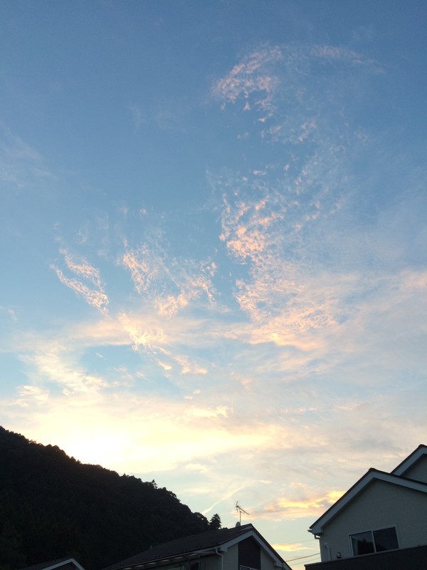 f:id:tujibee:20181010171639j:image:w360