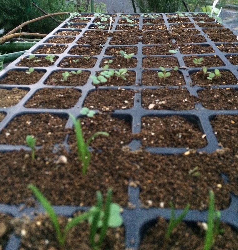 f:id:tujibee:20181010172319j:image:w300:left f:id:tujibee:20181010172319j:image:w300:left