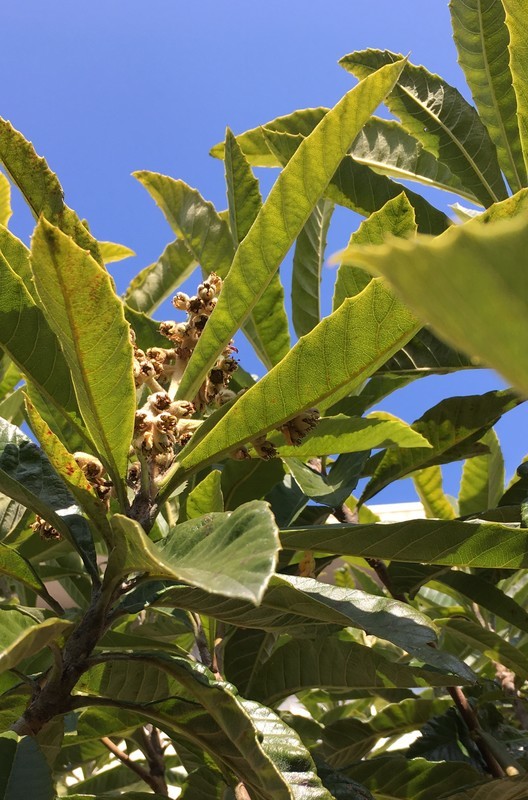 f:id:tujibee:20190213122900j:plain:w280:left