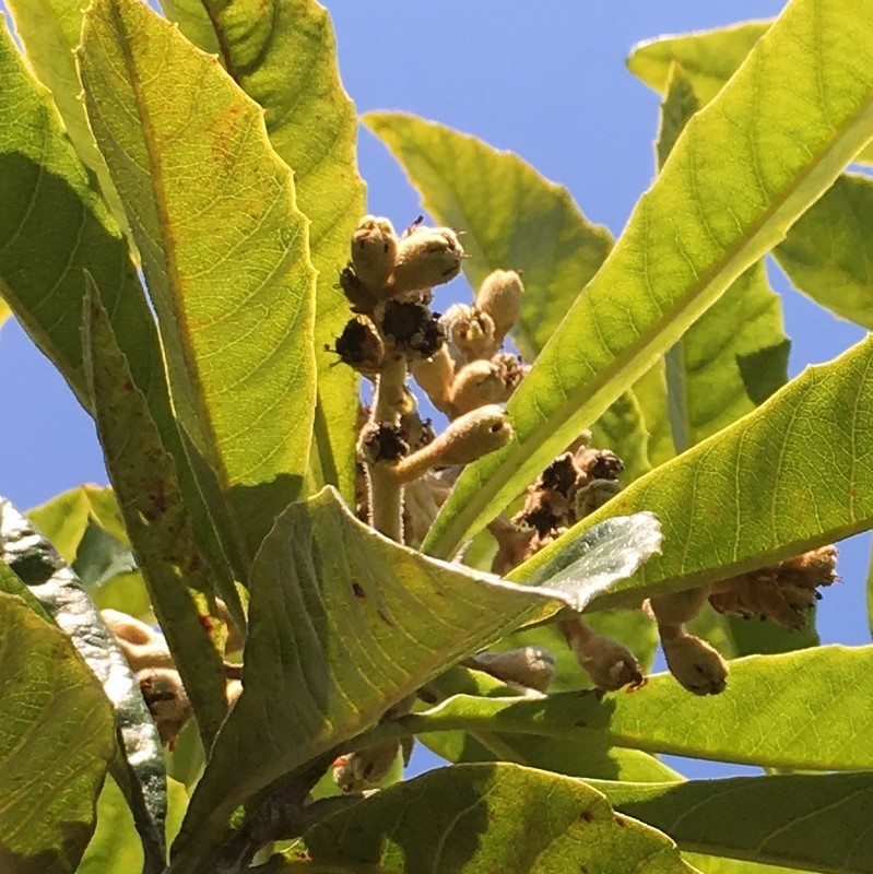 f:id:tujibee:20190320131246j:plain:w230