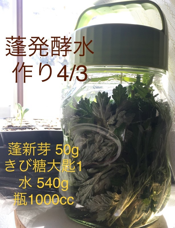 f:id:tujibee:20190403141831j:plain:w150:right