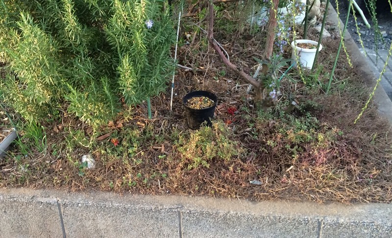 f:id:tujibee:20190405173134j:plain:w200:left f:id:tujibee:20190405173134j:plain:w200:left