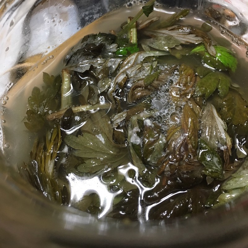 f:id:tujibee:20190408222255j:plain:w260:left