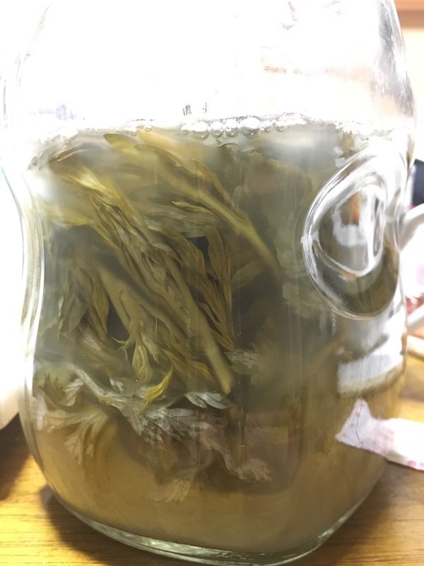 f:id:tujibee:20190408222311j:plain:w260:left