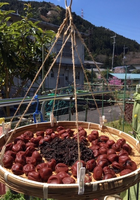 f:id:tujibee:20190413110932j:plain:w280:left