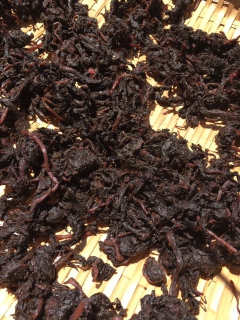 f:id:tujibee:20190413112548j:plain:w280:left