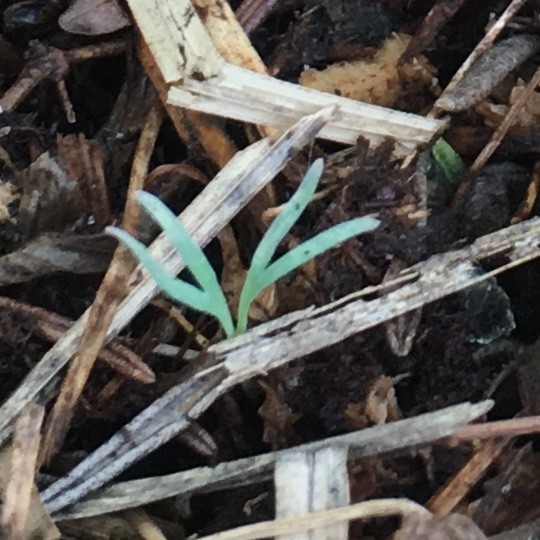 f:id:tujibee:20190423133817j:plain:w280:left