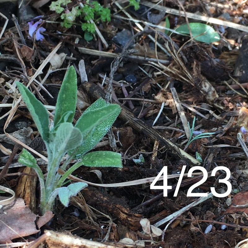 f:id:tujibee:20190423134344j:plain:w280:left