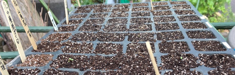 f:id:tujibee:20190515104053j:plain:w250:left