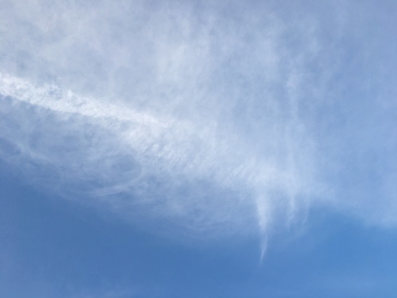 f:id:tujibee:20190515181130j:plain:w380:left