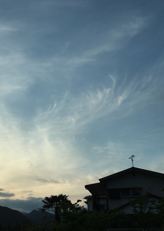 f:id:tujibee:20190515181348j:plain:w258:left