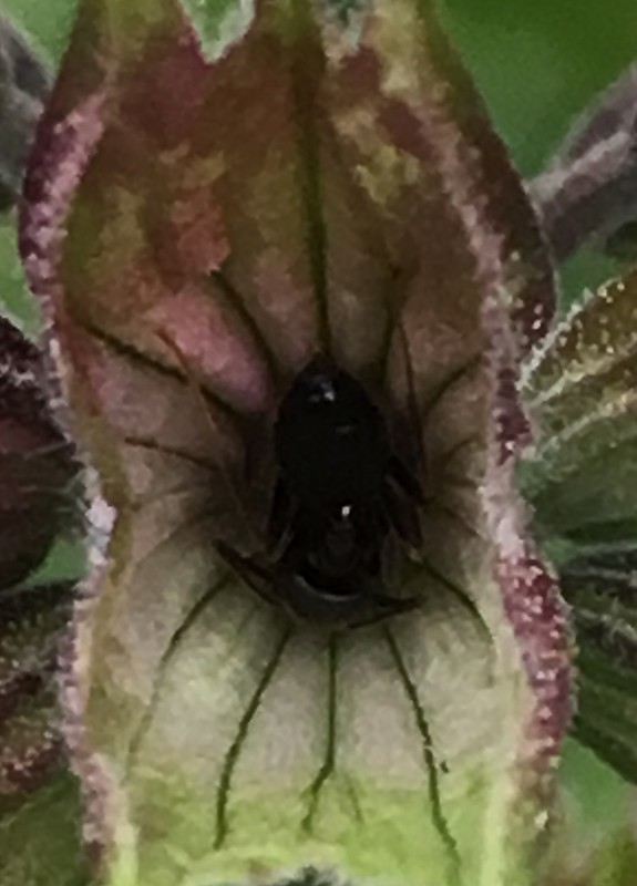 f:id:tujibee:20190520164318j:plain:w265:left f:id:tujibee:20190520164318j:plain:w265:left