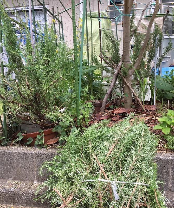 f:id:tujibee:20190522115358j:plain:w380:left