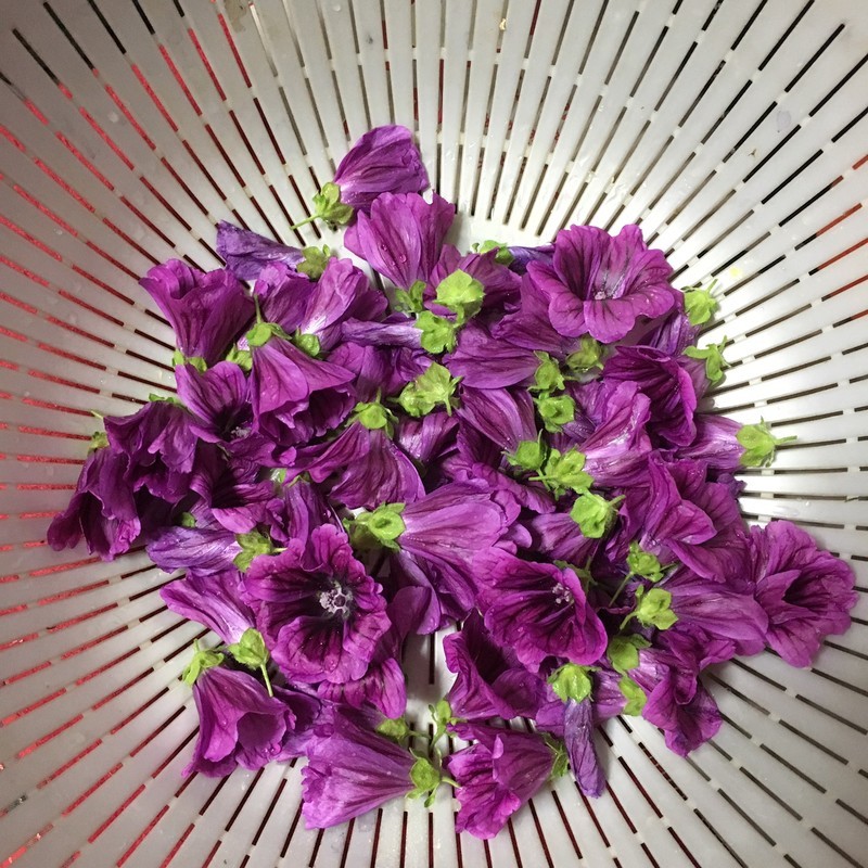 f:id:tujibee:20190528201429j:plain:w271