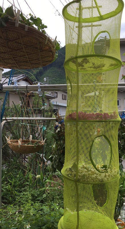 f:id:tujibee:20190603123719j:plain:w300:left