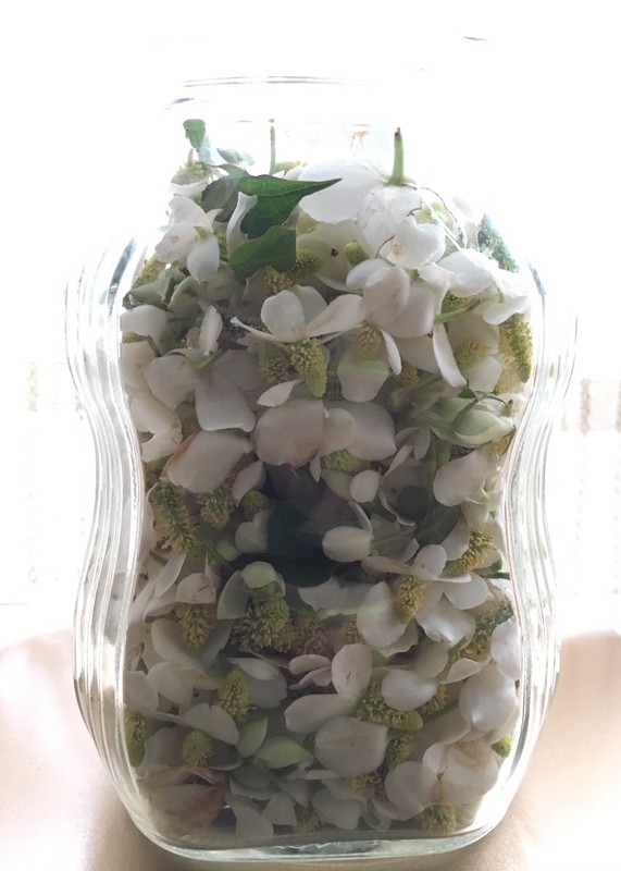 f:id:tujibee:20190603152932j:plain:w270:left