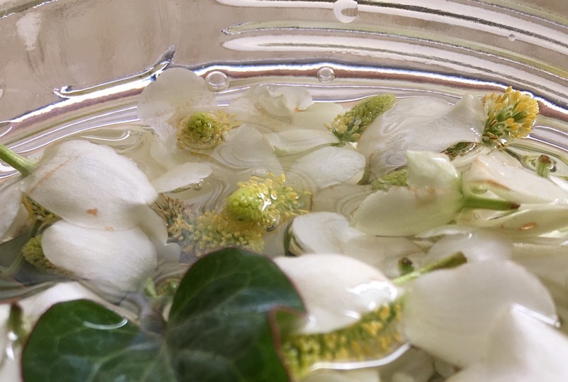 f:id:tujibee:20190603153128j:plain:w270:left f:id:tujibee:20190603153128j:plain:w270:left