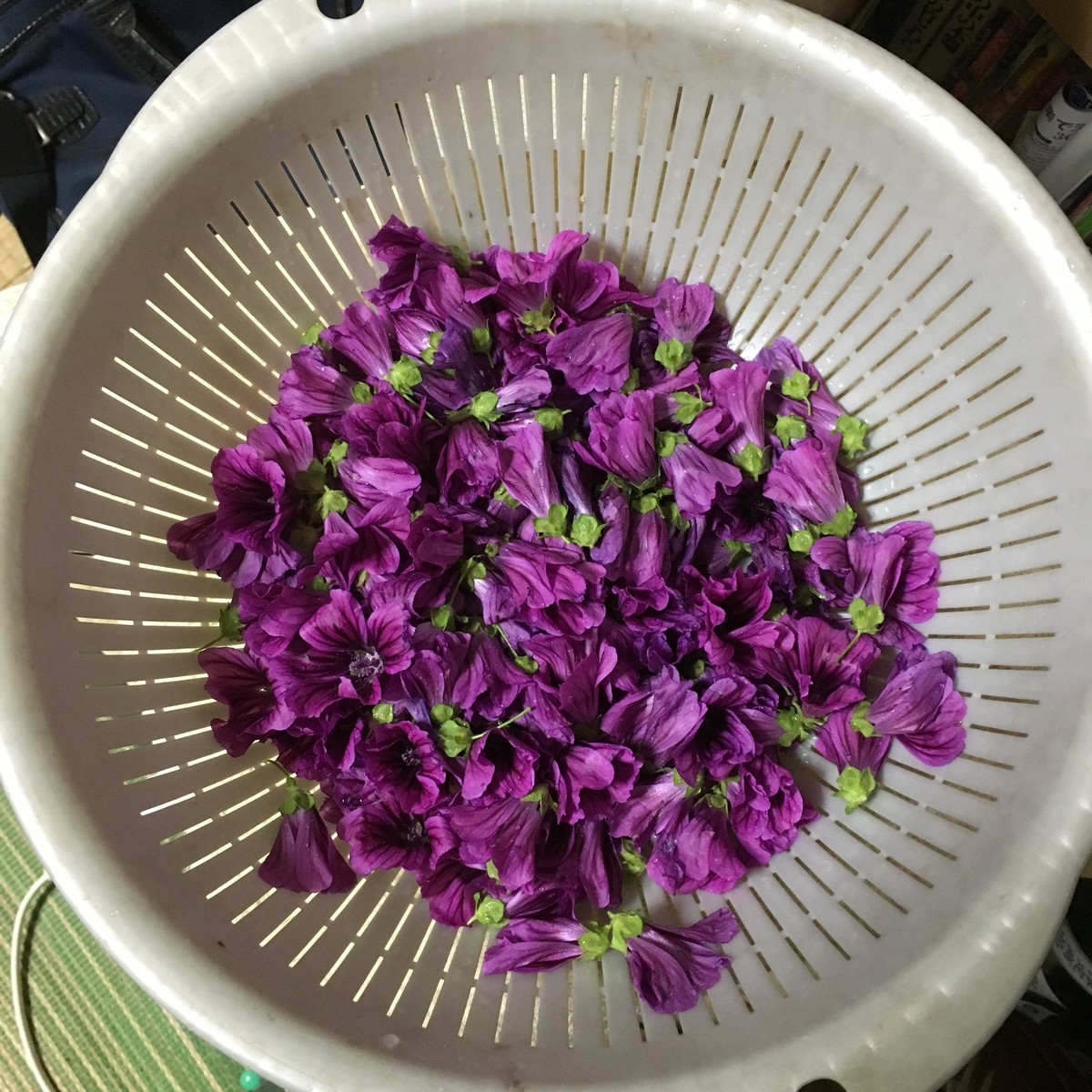 f:id:tujibee:20190604194032j:plain:w200:left