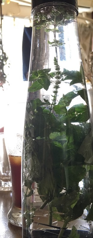 f:id:tujibee:20190811123802j:plain:w135