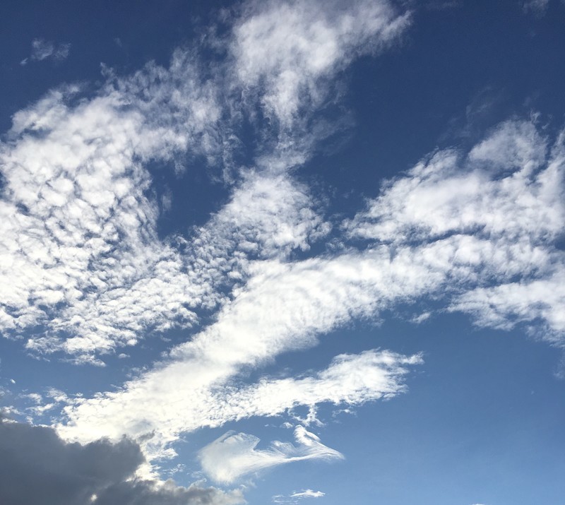 f:id:tujibee:20190908164907j:plain:w223:right