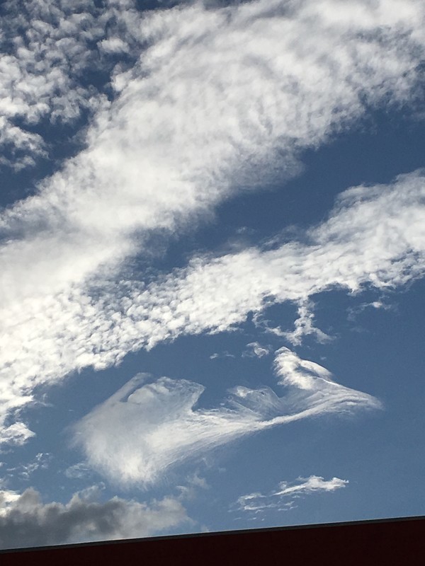 f:id:tujibee:20190908164913j:plain:w333:left
