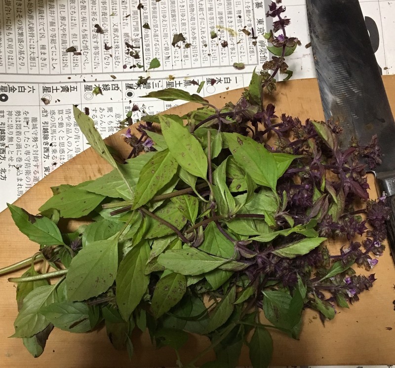 f:id:tujibee:20191116201427j:plain:w200 f:id:tujibee:20191116201427j:plain:w200