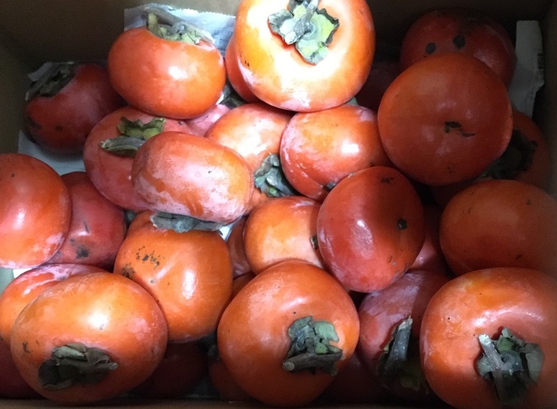 f:id:tujibee:20191119191128j:plain:w230