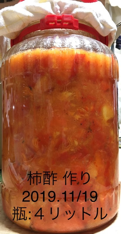 f:id:tujibee:20191119193729j:plain:w265:left