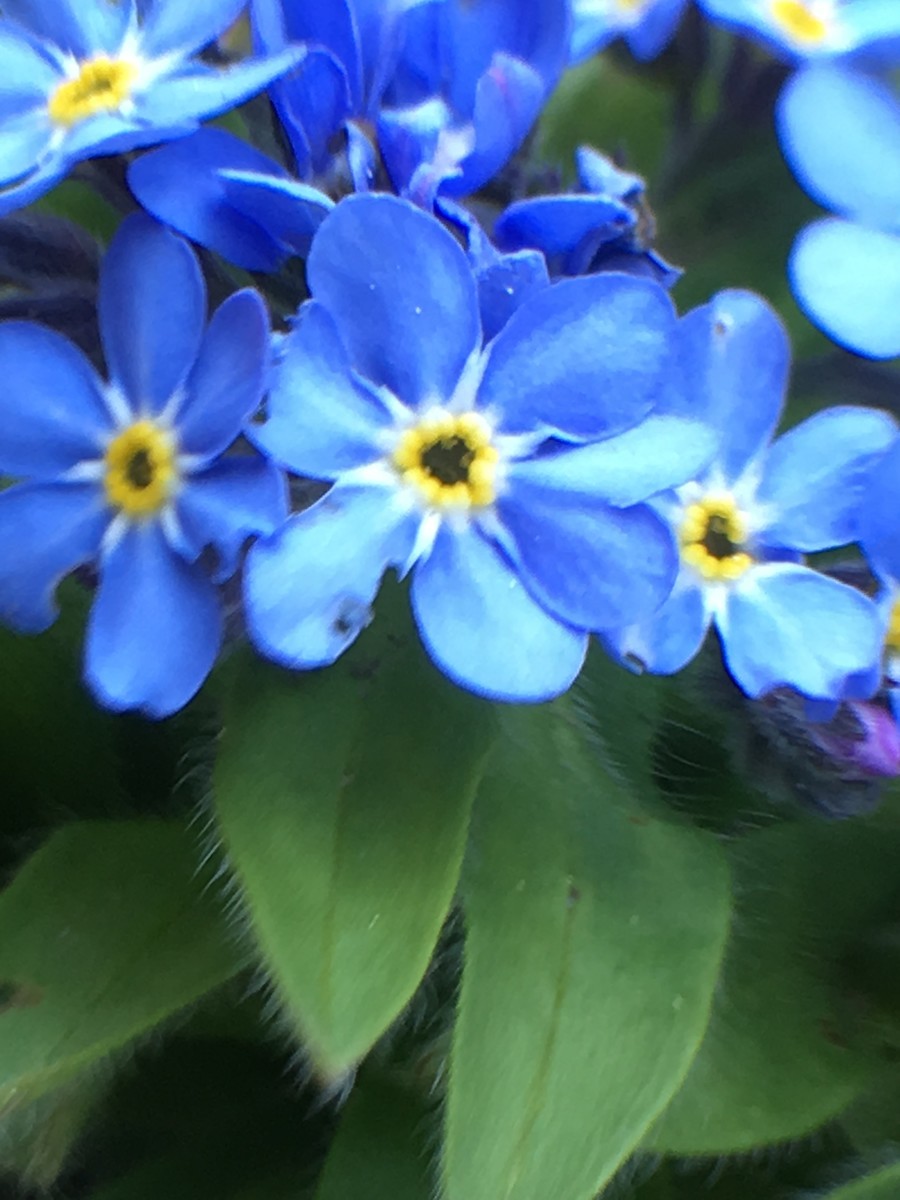 f:id:tujibee:20200411110802j:plain:w250:left f:id:tujibee:20200411110802j:plain:w250:left