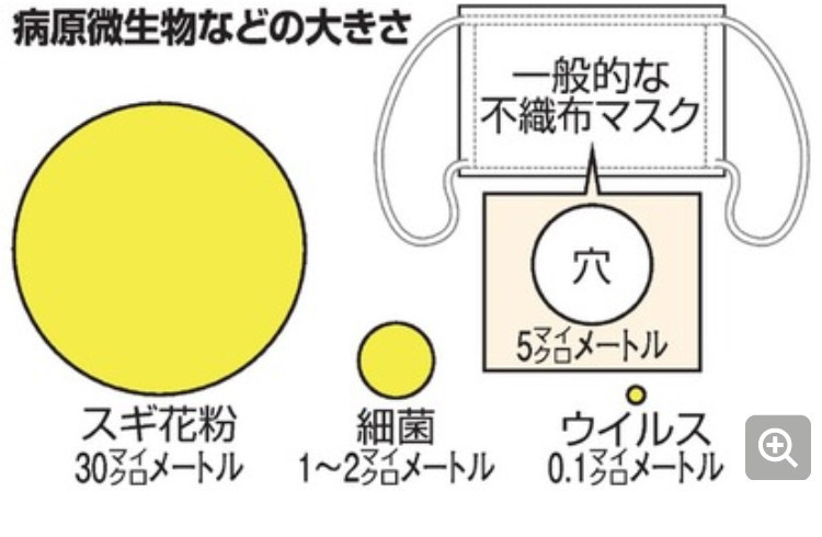 f:id:tujibee:20200814094252j:plain