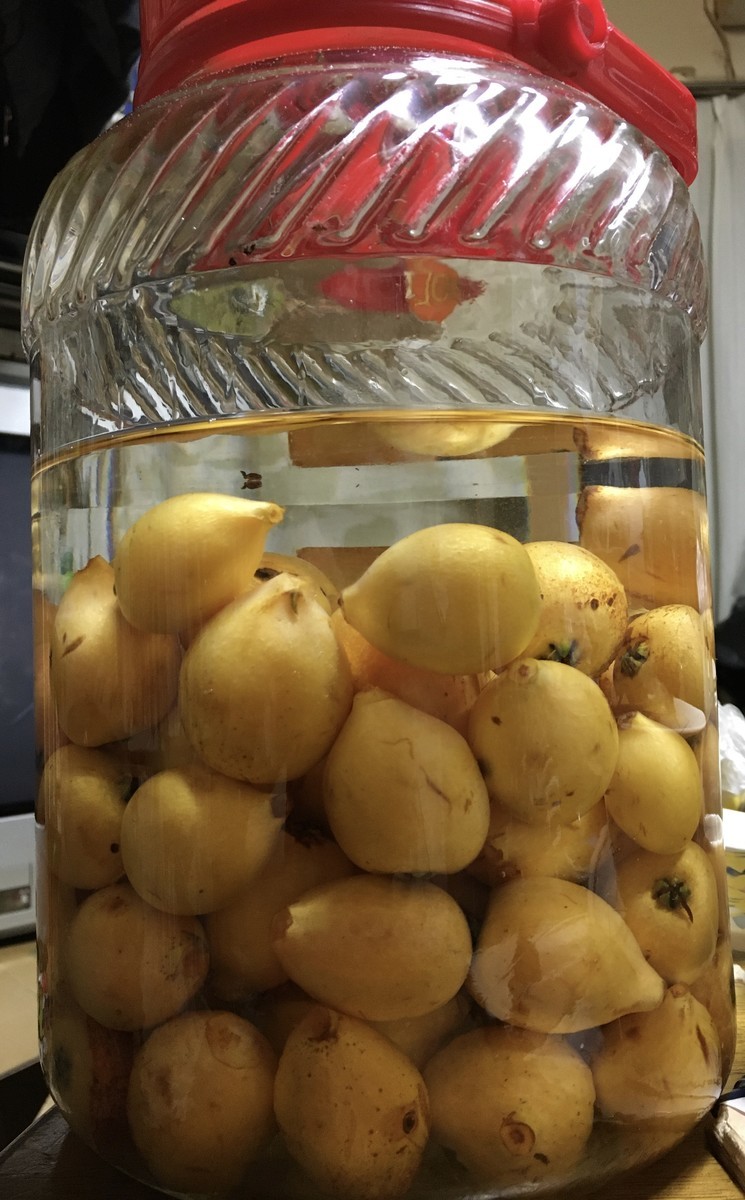 f:id:tujibee:20210611193223j:plain:w230:right