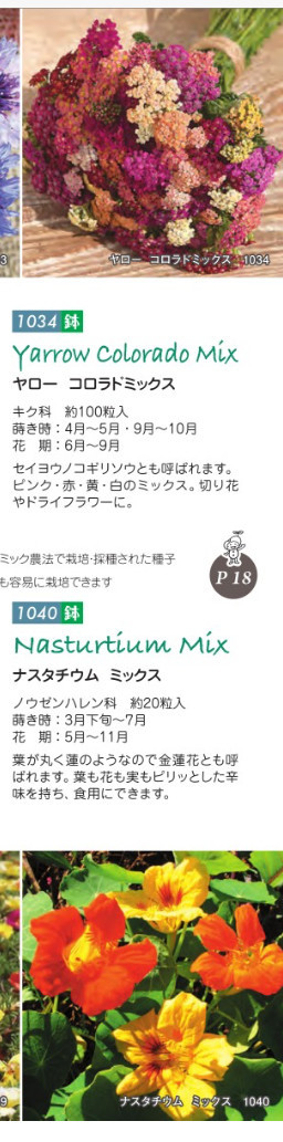 f:id:tujibee:20210704134153j:plain:w230:left
