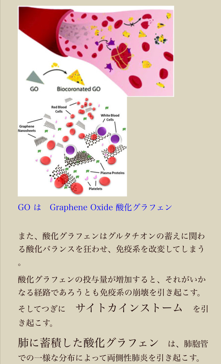 f:id:tujibee:20210826115753j:plain
