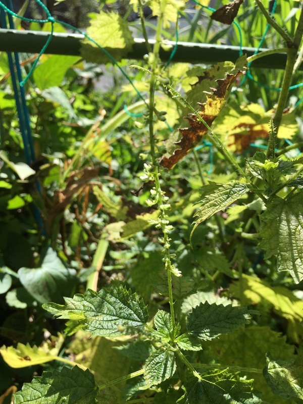 f:id:tujibee:20211006114830j:plain:w350