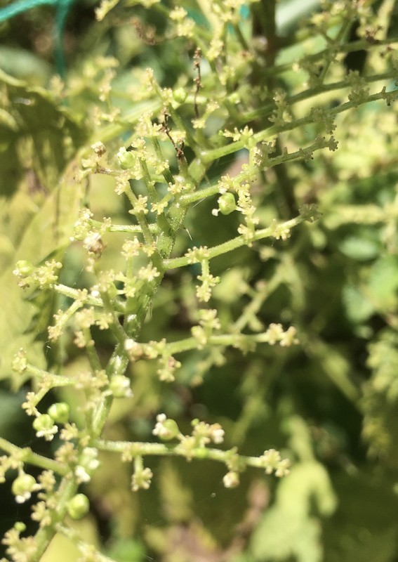 f:id:tujibee:20211006114917j:plain:w350:left