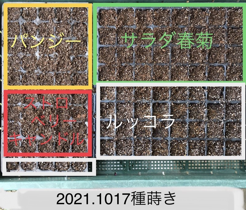 f:id:tujibee:20211017154344j:plain:w420:left