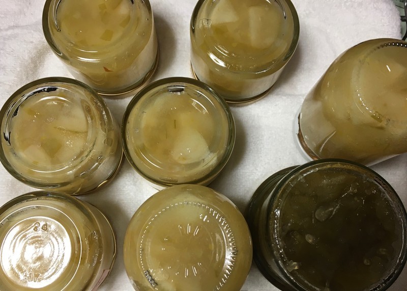 f:id:tujibee:20211124014026j:plain:w258:left