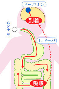 f:id:tujibee:20220111115040j:plain:w258:left